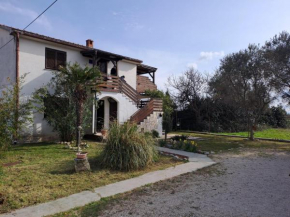 Apartments with a parking space Privlaka, Zadar - 14833